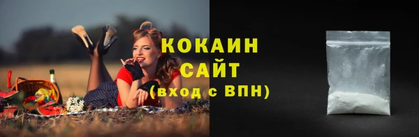 ALPHA PVP Богородицк