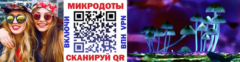 даркнет сайт  omg ССЫЛКА  это телеграм  Армавир  Псилоцибиновые грибы прущие грибы 