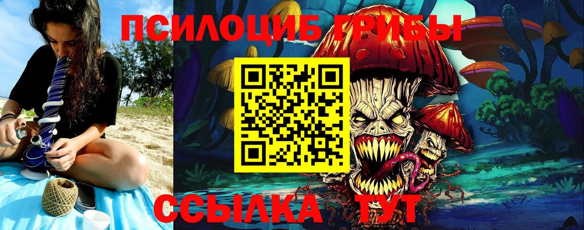 Псилоцибиновые грибы Psilocybe Армавир