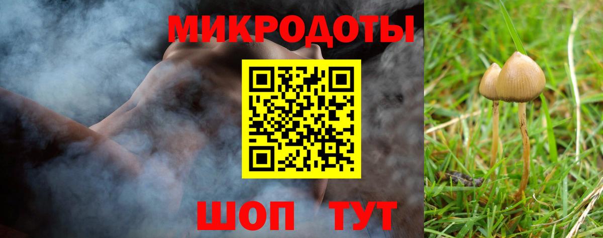 Армавир  Псилоцибиновые грибы ЛСД  Вход с VPN  закладки  Псилоцибиновые грибы прущие грибы 